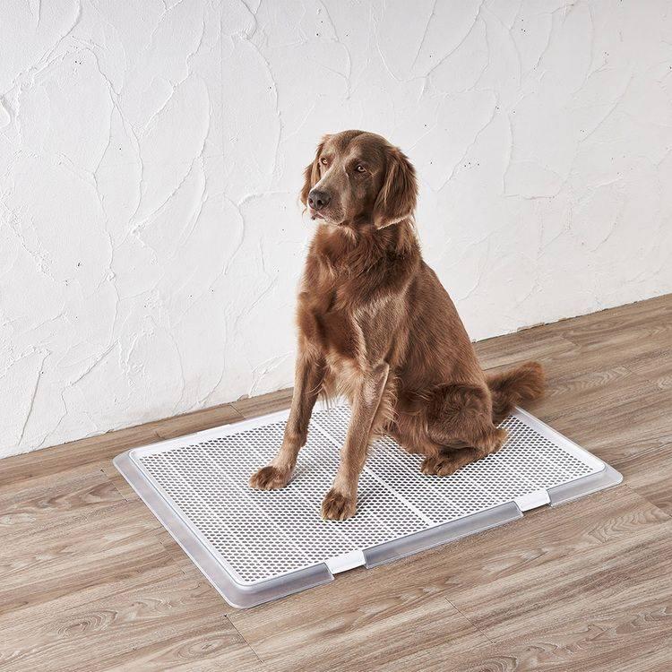 ボンビアルコン 犬 ペット トイレ ペットレー クリアメッシュ XL