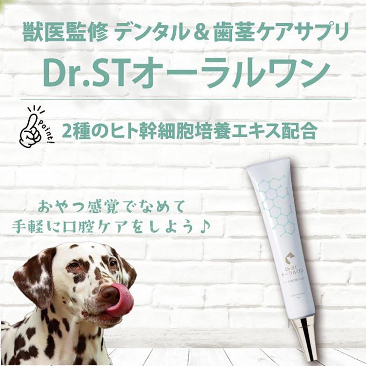 デンタルケア 口腔ケア 犬用 歯磨き Dr.STオーラルワン ケーピーエス