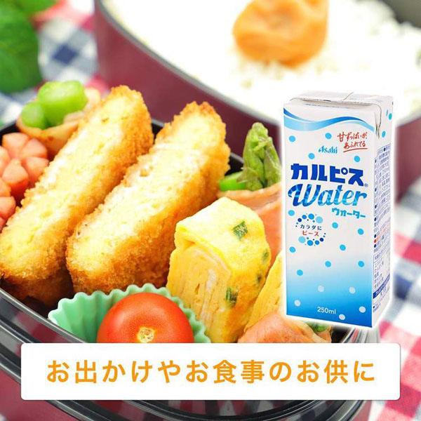 72本セット カルピス250ml 紙パック ジュース ソフトドリンク 100