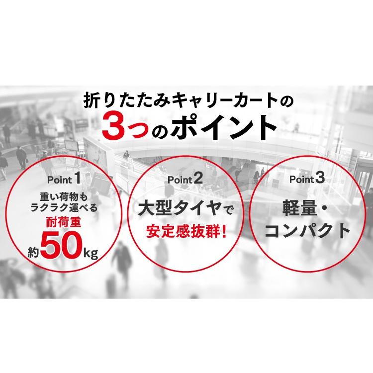 キャリーカート アウトドア キャリーワゴン 折りたたみ 軽量 コンパクト 台車 すべり止め ゴムバンド 50kg OAC-H001BK (D) 新生活｜petkan｜02