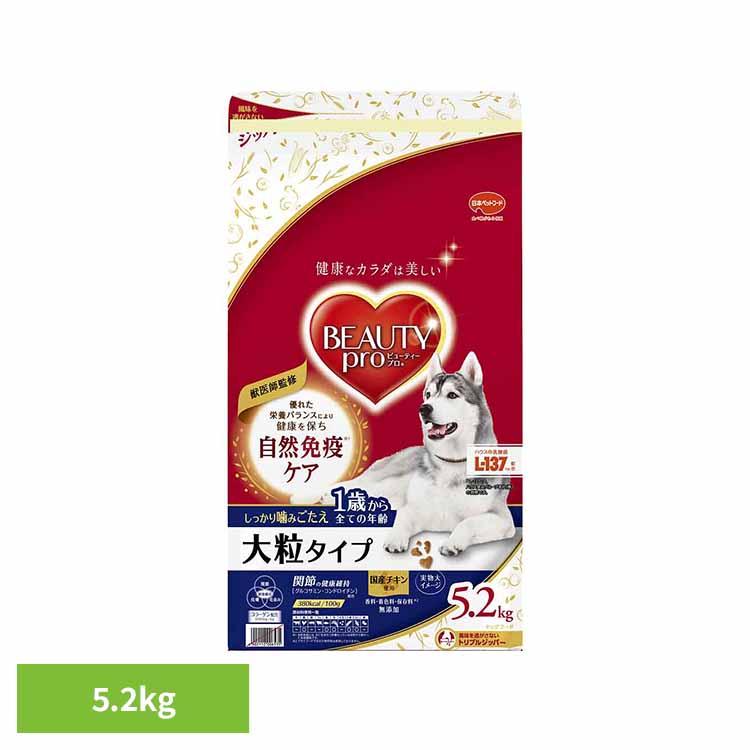 ドッグフード ビューティープロ ドッグ 大粒タイプ 1歳から ドライフード 総合栄養食 成犬用 5.2kg ペットフード 犬 ご飯 日本ペットフード * | 