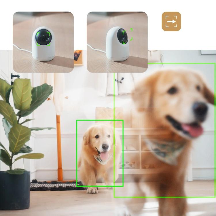 SwitchBot 見守りカメラ 防犯カメラ 360度 高画質 遠隔確認 双方向 音声会話 データ保存 ペット 高齢者 家庭用 監視カメラ W1801200-GH * | SwitchBot | 06