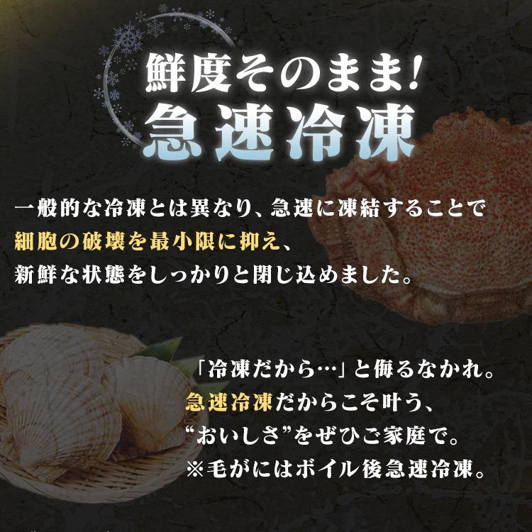 海鮮セット お取り寄せ 北海道 毛ガニ 1杯 ほたて貝柱 250g いくら 100g 毛蟹 ホタテ 帆立 イクラ 鮭 醤油漬け 詰め合わせ * (TD) (代引不可)_3