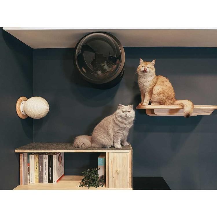 キャットウォーク キャットステップ 猫用品 ペット用品 猫家具 爪研ぎ 壁掛け ペット共生 猫部屋 CATURN N25 キャターン爪研ぎボール MZ0002の画像