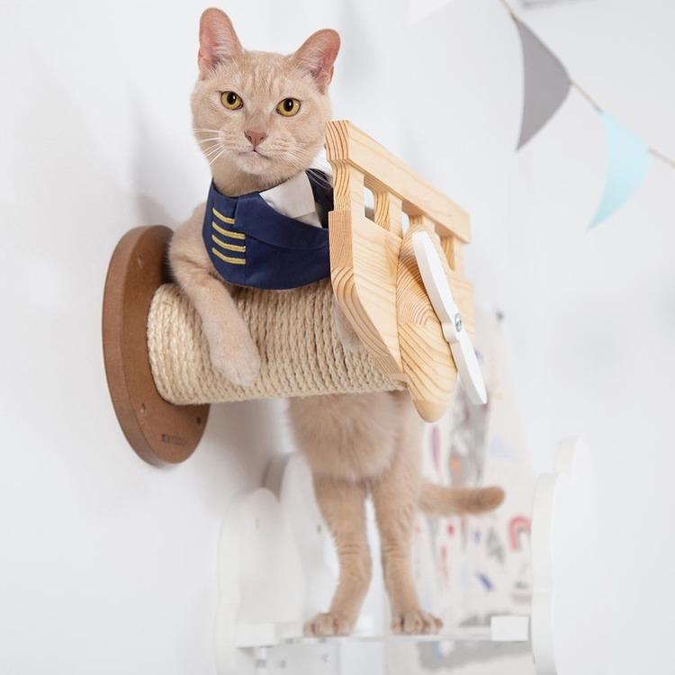 キャットウォーク キャットステップ 猫用品 ペット用品 猫家具 爪研ぎ 壁掛け ペット共生 猫部屋 賃貸おすすめ PLANE MZ0038_2