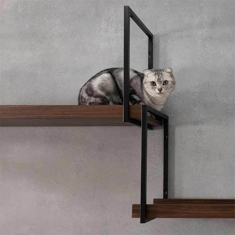 キャットウォーク キャットステップ 猫用品 ペット用品 猫家具 猫ベッド 壁掛け 天井吊り下げ 猫部屋 AVENUE/100cmウォールナット MZ0059の画像