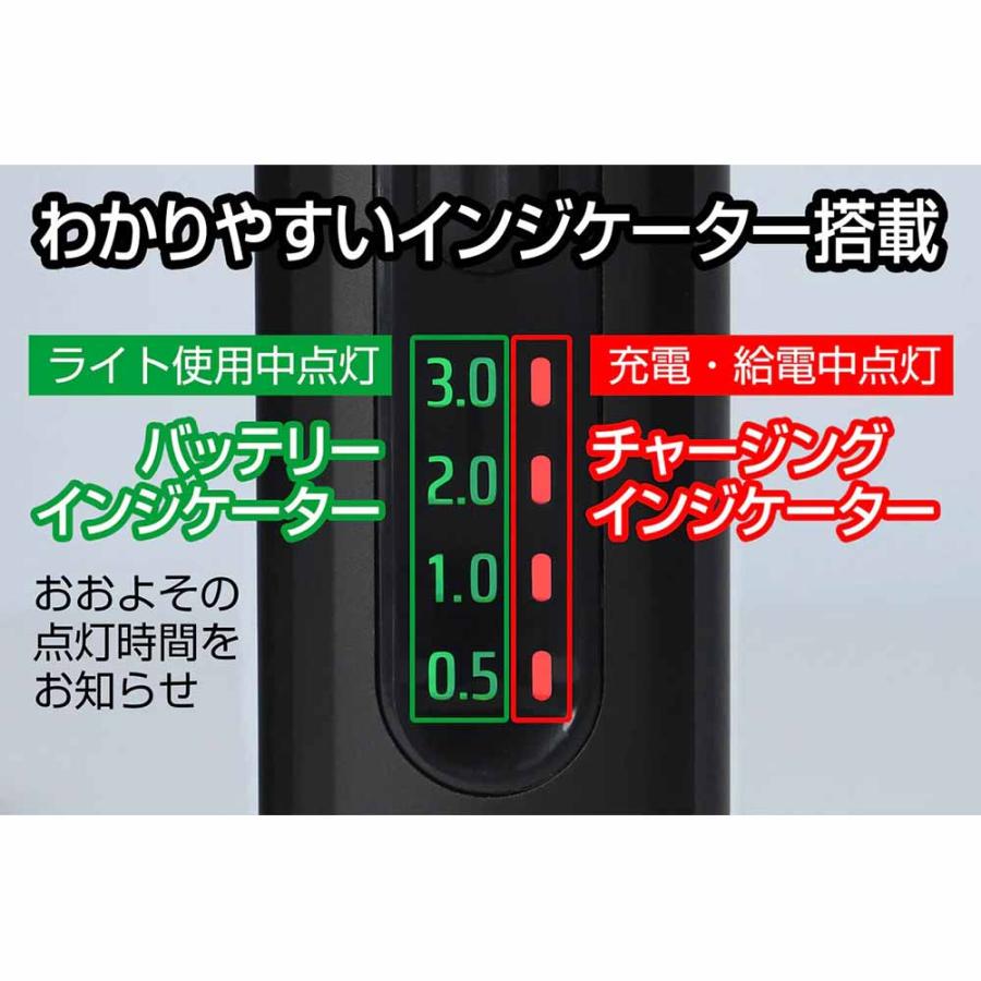 GENTOS（ジェントス） バイクライト 自転車用ライト AXS-04R 1000