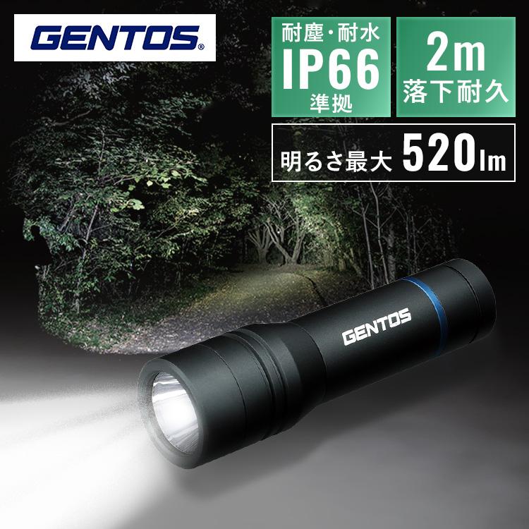 懐中電灯 LED 電池式 LEDライト 屋外 耐塵 耐水 1m防水 IP66 IP67準拠