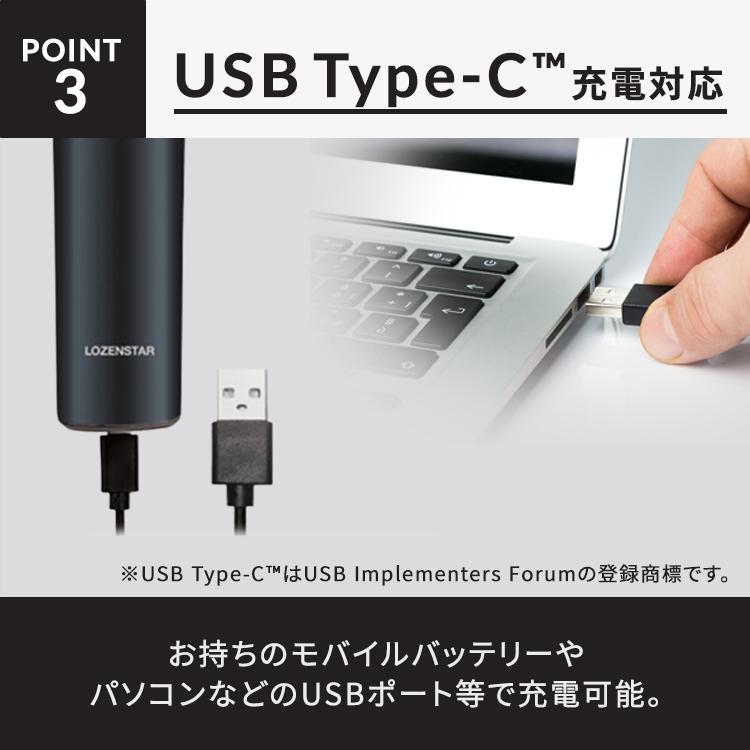 ロゼンスター LOZENSTAR シェーバー 2枚刃 交流式 充電式 USB