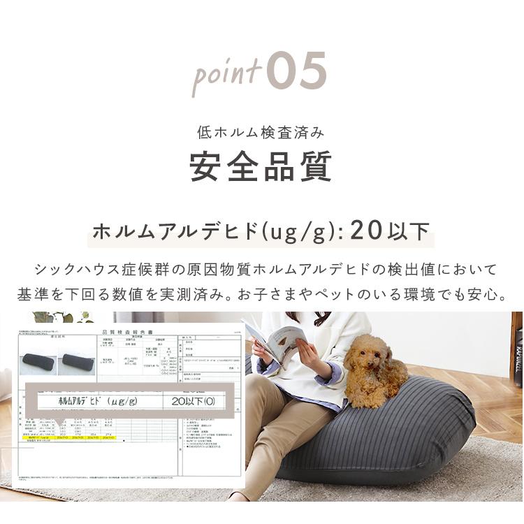 IRIS OHYAMA（アイリスオーヤマ） クッション ビーズクッション