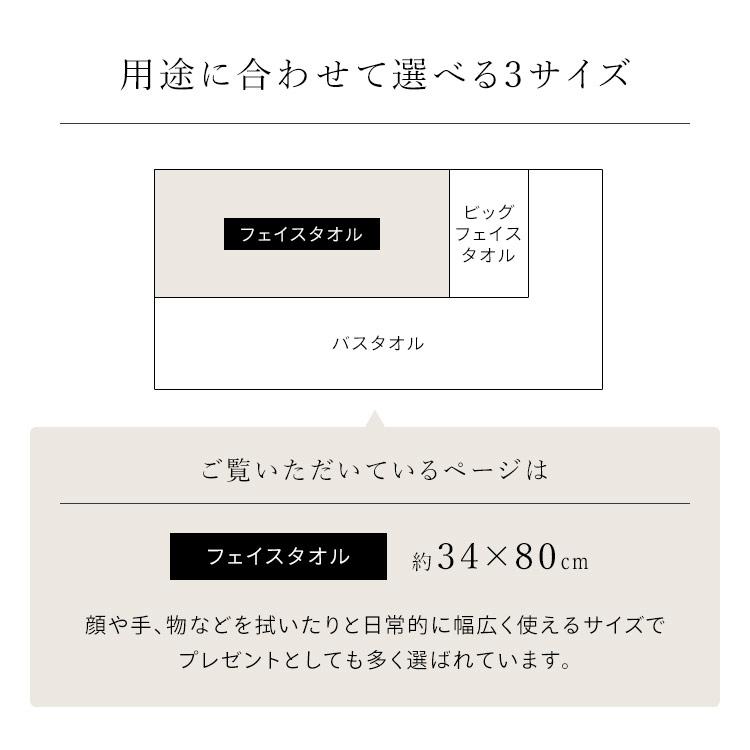 タオル フェイスタオル 2枚セット シンプル デイリーフェイスタオル 同色セット 中厚 今治製 デイリーフェイスタオル2枚セット FT-D2 アイリスオーヤマ｜petkan｜07