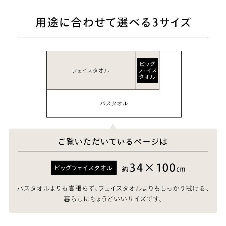 タオル ビッグフェイスタオル 2枚セット シンプル 同色セット 薄手 軽量 今治製 ビッグ フェイス ビッグフェイスタオル2枚セット BFT-2 アイリスオーヤマ｜petkan｜09