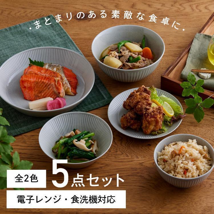 IRIS OHYAMA（アイリスオーヤマ） 食器セット 食器 おしゃれ 5点セット