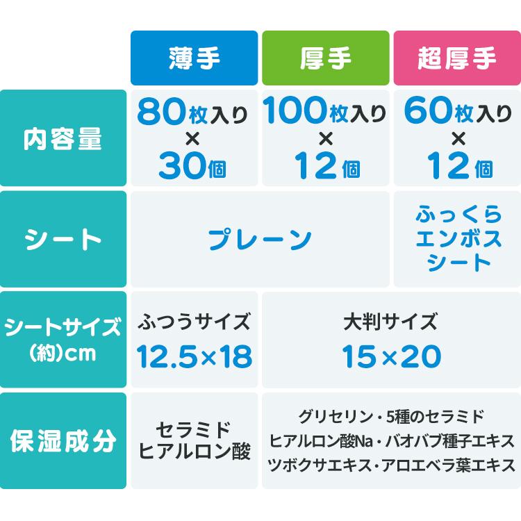 お尻拭きです。 おしりふき 12個セット 厚手 タオルのような厚み 大判 6枚入り ミニ