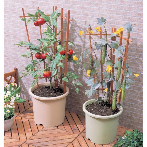 (在庫処分)プランター 大型 野菜 ベジタブルポット10号 アイリスオーヤマ|petkan|02