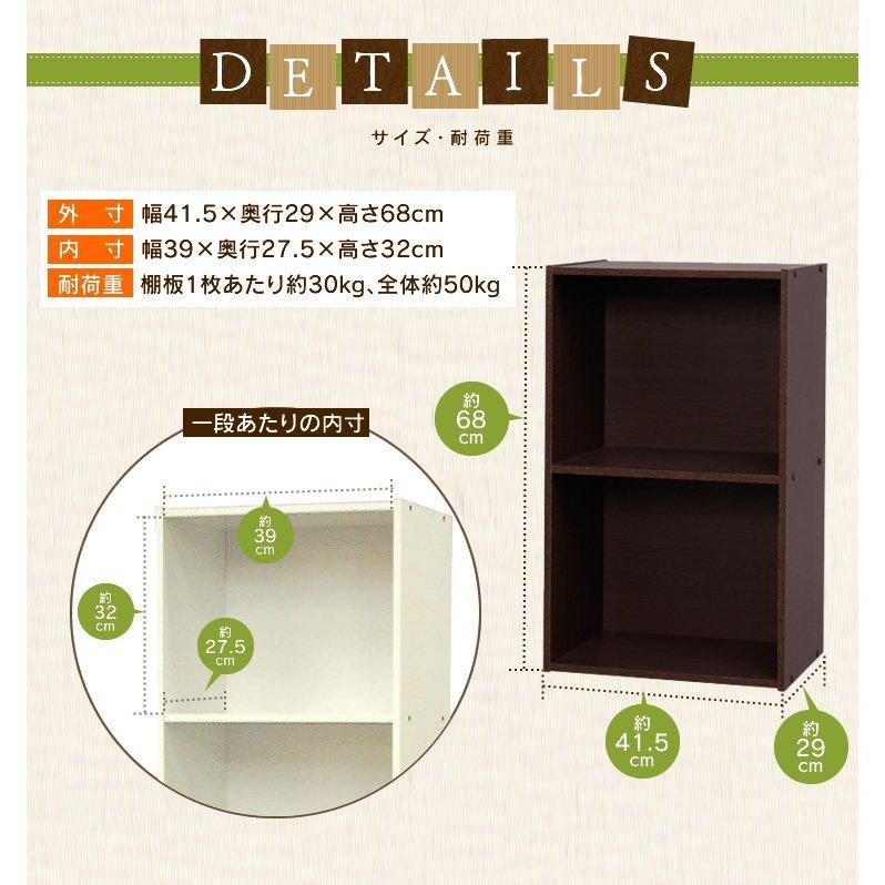 IRIS OHYAMA（アイリスオーヤマ） カラーボックス 収納 2個セット 収納