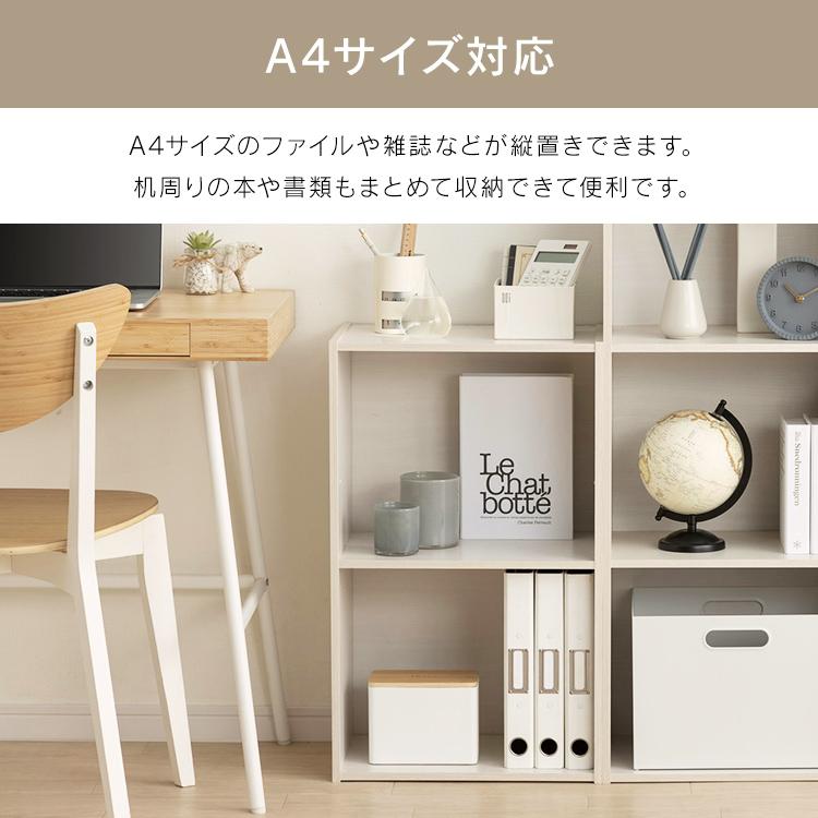 IRIS OHYAMA（アイリスオーヤマ） カラーボックス 収納 2段 サイズ