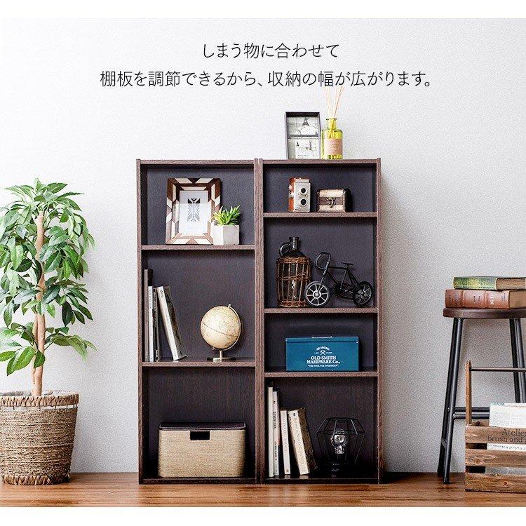 IRIS OHYAMA（アイリスオーヤマ） カラーボックス 棚板 パーフェクト