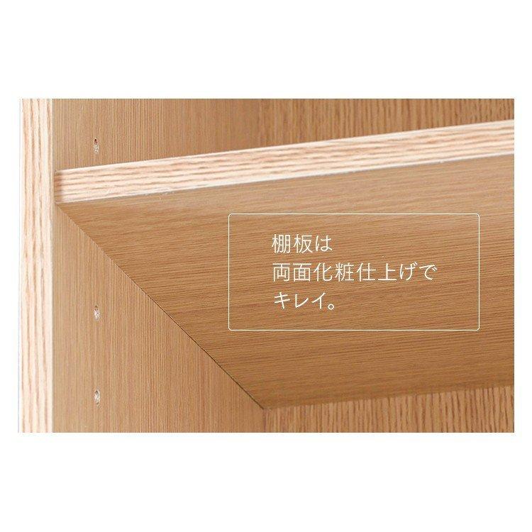 IRIS OHYAMA（アイリスオーヤマ） カラーボックス 棚板 パーフェクト