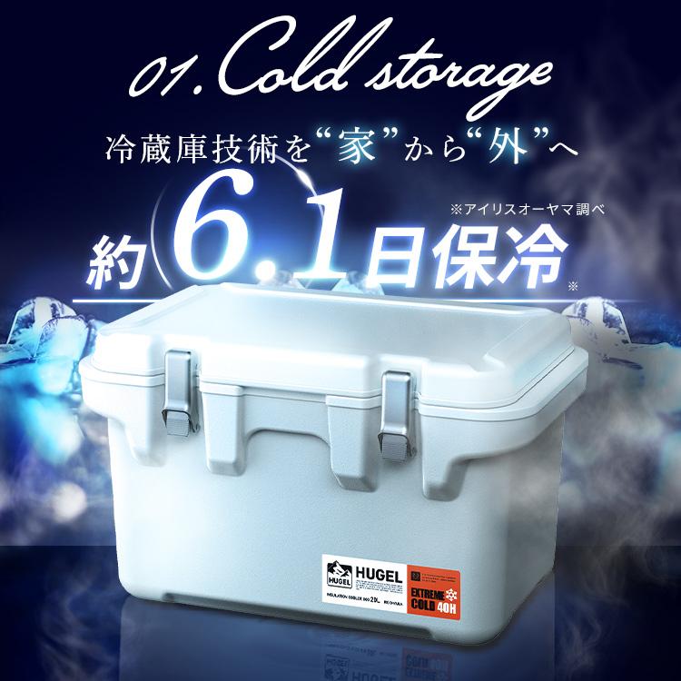 IRIS OHYAMA（アイリスオーヤマ） クーラーボックス 小型 20L 釣り