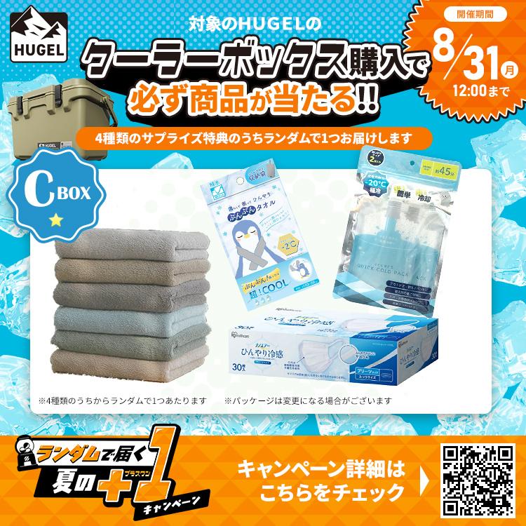 IRIS OHYAMA（アイリスオーヤマ） クーラーボックス 釣り 20L ウレタン