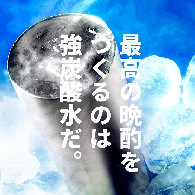 炭酸水 強炭酸水 1l ラベルレス 15本 プレーン レモン 1リットル アイリスオーヤマ 国産 1L 富士山の強炭酸水 ラベルあり ラベルなし 1000ml ポイント消化｜petkan｜04