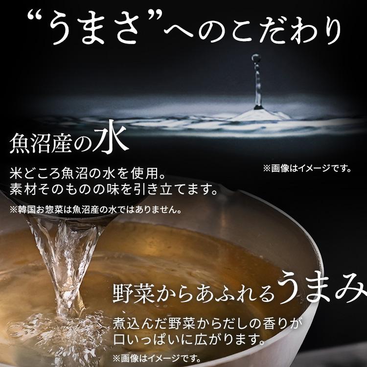 ＼芋煮新発売／ レトルト食品 常温保存 惣菜 1食 選べる15種 食品 お試し レトルト おかず 非常食 防災 アイリスオーヤマ アイリスフーズ * | IRIS OHYAMA | 24