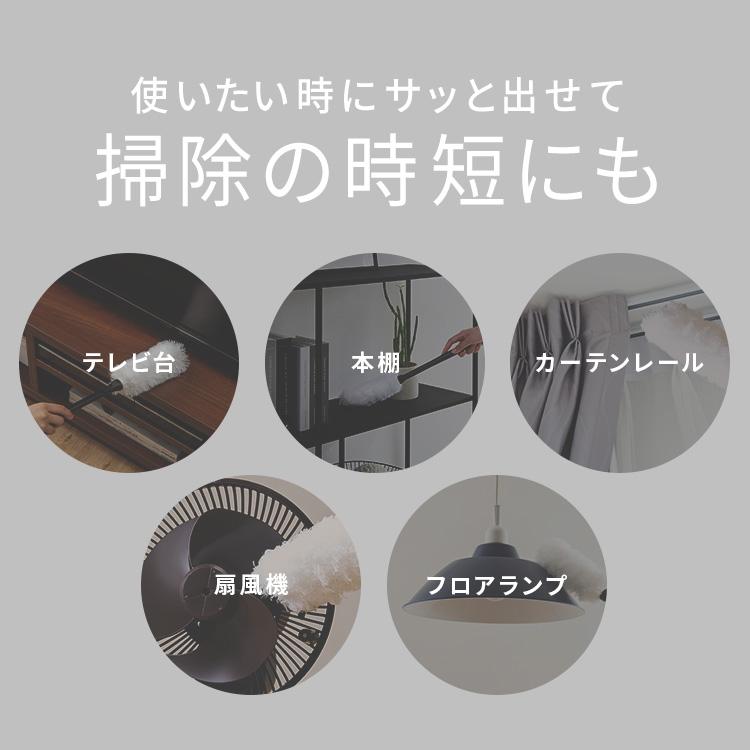 IRIS OHYAMA（アイリスオーヤマ） 掃除機 コードレス サイクロン 置く