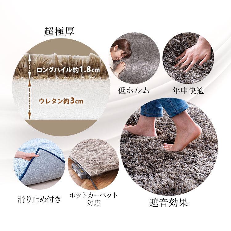 IRIS OHYAMA（アイリスオーヤマ） ラグマット おしゃれ ラグ マット