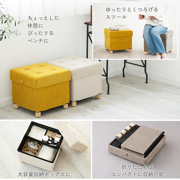 IRIS OHYAMA（アイリスオーヤマ） 椅子 スツール 収納 収納スツール 脚