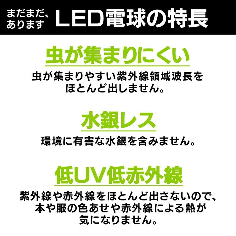 宅配便配送 電球 LED LED電球 E26 60W相当 広配光 昼白色 電球色 2個セット アイリスオーヤマ LDA7N-G-6T6-E2P LDA7L-G-6T6-E2P おしゃれ 照明 LEDランプ LEDライト columbiatools.com 宅配便配送 電球 LED LED電球 E26 60W相当 広配光 昼白色 電球色 2個セット アイリスオーヤマ LDA7N-G-6T6-E2P LDA7L-G-6T6-E2P おしゃれ 照明 LEDランプ LEDライト columbiatools.com