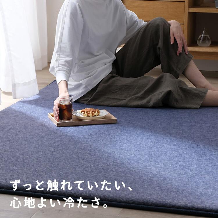 IRIS OHYAMA ラグ カーペット ラグマット 厚手 2畳 夏用 IRIS OHYAMA ラグ カーペット ラグマット 厚手 2畳 夏用