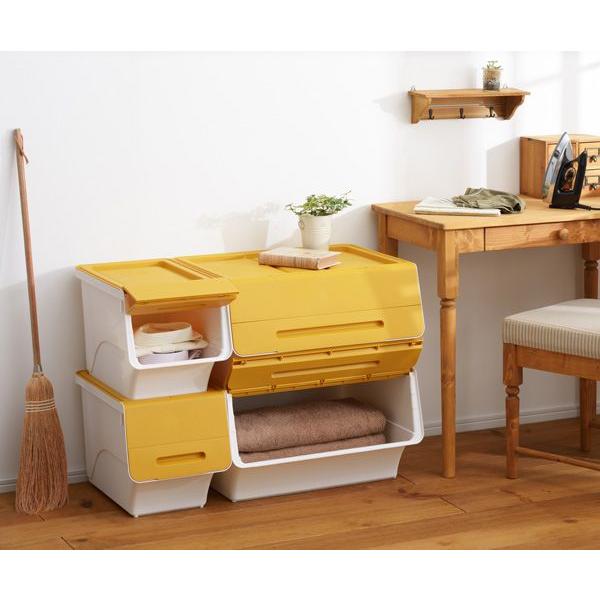 フロックワイド30 収納ケース 収納ボックス 衣装ケース 小物収納