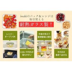 保存容器 ガラス 密閉 おしゃれ iwaki 耐熱ガラス システムセット・ミニ PSC-PRN4G2 AGCテクノガラス(株) (D)|petkan|02
