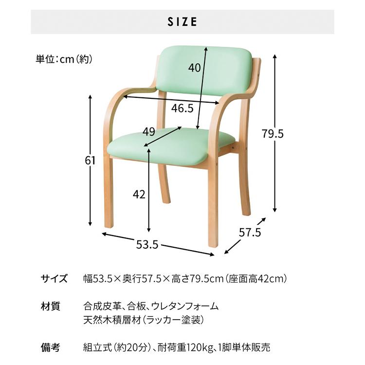 ダイニングチェア 肘付き スタッキングチェア イス 肘掛け付き 重ねる チェアー コンパクト シンプル STKC-795 (D) 新生活｜petkan｜20