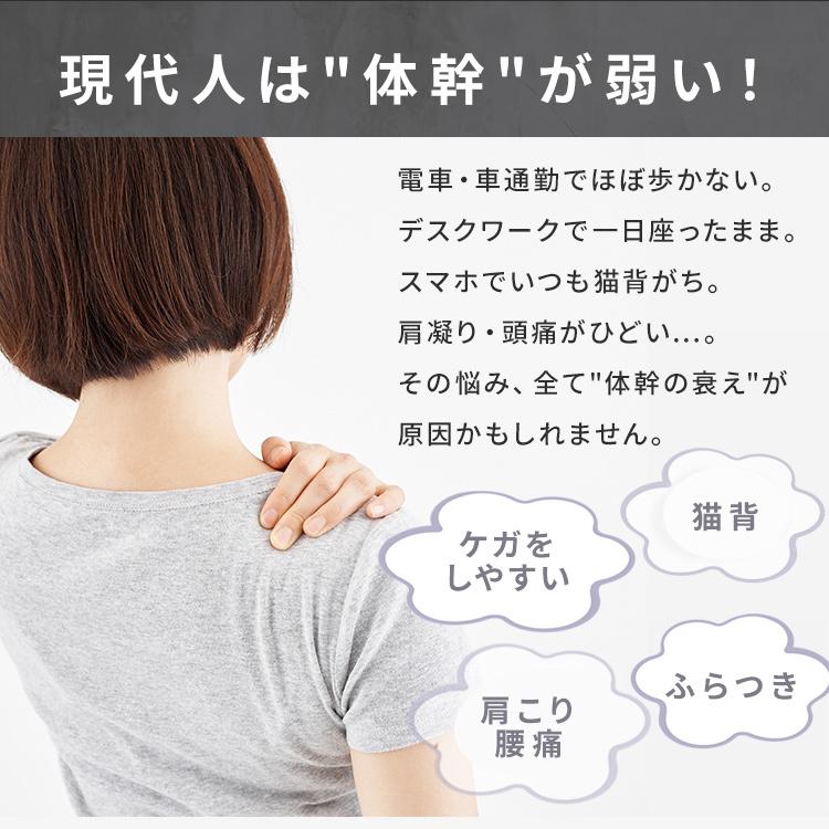 以上節約 バランスボール ダイエット フィットネスボール ヨガボール フィットネス ストレッチ エクササイズ ヨガ 65cm Si Balanceball 65 Aqua D Wantannas Go Id