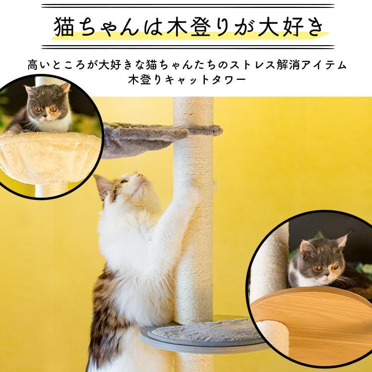 キャットタワー 木製 突っ張り 猫タワー おしゃれ スリム 木 省スペース 大型 ハンモック 木登りキャットタワー KCCT-244 爪とぎ｜petkan｜04