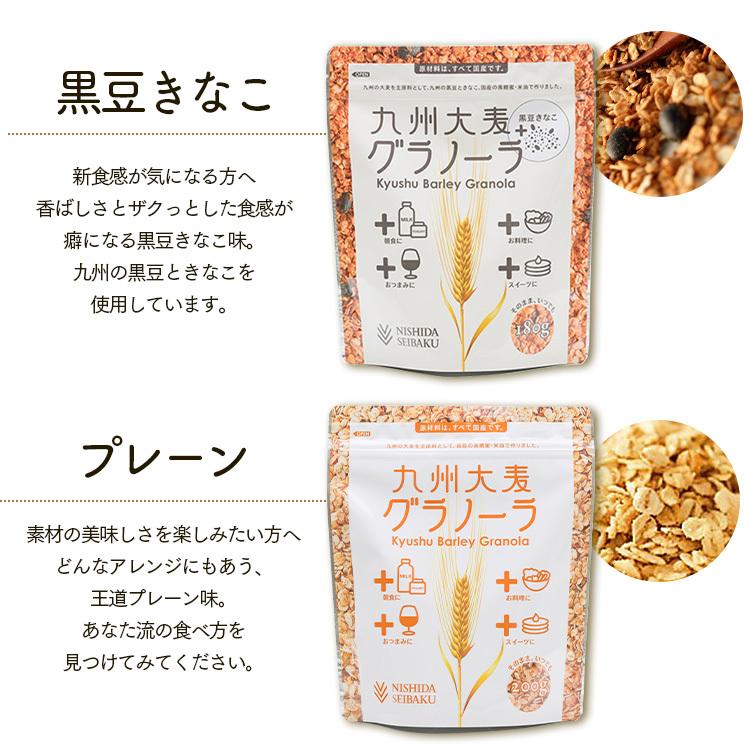グラノーラ 九州 大麦 低GI 栄養食 2袋セット 九州大麦グラノーラ