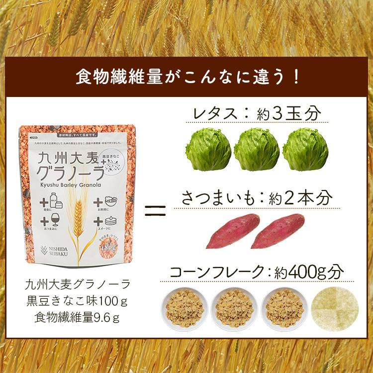 グラノーラ 九州 大麦 低GI 栄養食 2袋セット 九州大麦グラノーラ