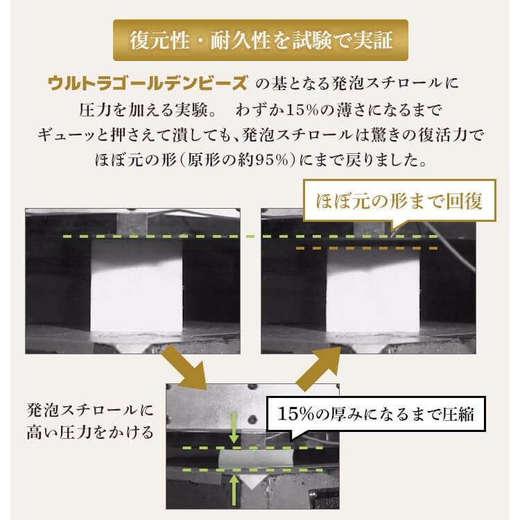 ビーズクッション 特大 クッション おしゃれ 日本製 ベッド ソファー ソファ クッションベッド 一人暮らし 新生活 大きい ビーンズMAX プレミア (D) 新生活｜petkan｜24