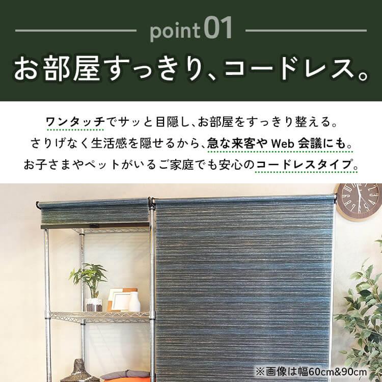 ロールスクリーン ロールカーテン カーテン ブラインド 目隠し メタル