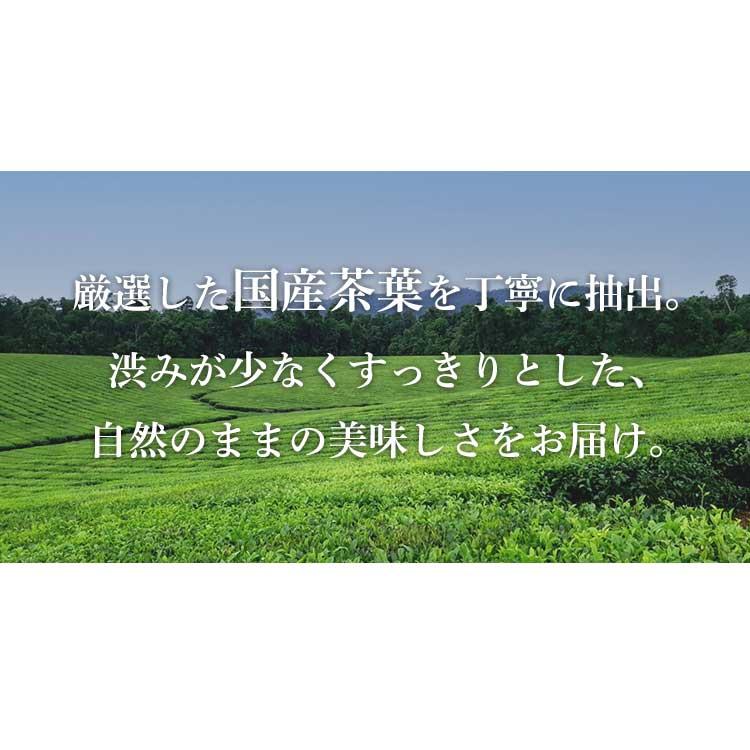 紙パック お茶 200ml 30本 緑茶 濃いお茶 ルイボスティー ブレンドティー エルビー 濃い味 ノンカフェイン 国産茶葉 国産 軽量 手軽 エコ｜petkan｜04