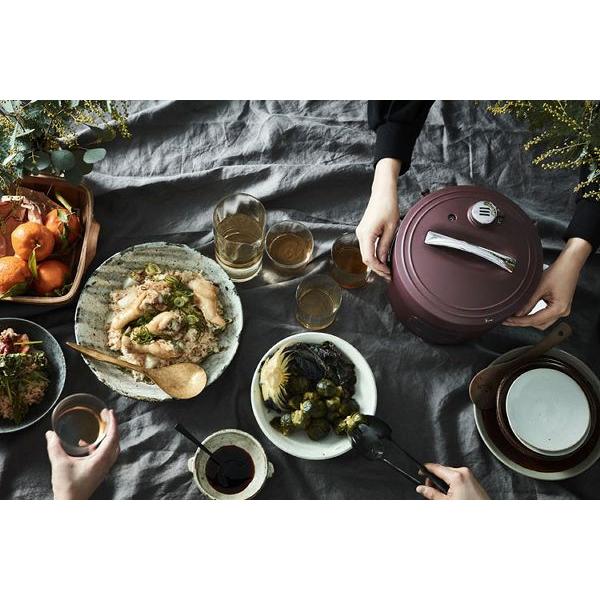 Re・De Pot 電気圧力鍋 2L PCH-20L (D)(B) : メガストア Yahoo!店