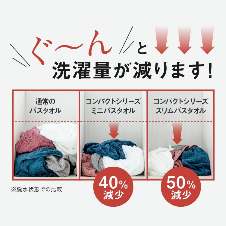 タオル バスタオル 小さめ 2枚セット ミニバスタオル 泉州タオル 50