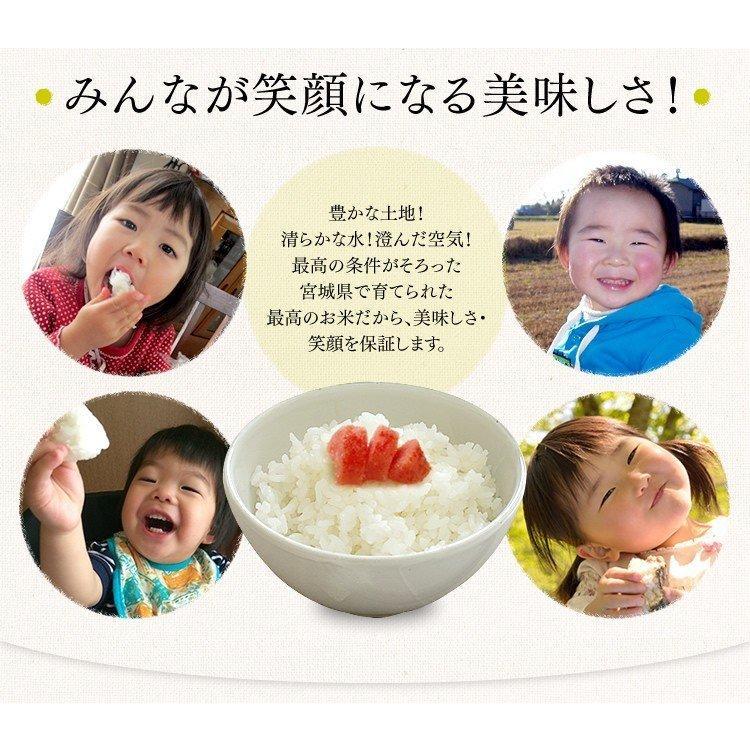 ササニシキ 玄米 30kg ささにしき 精米 27kg 送料無料 令和6年産 ササニシキ 玄米 30kg ささにしき 精米 27kg 送料無料 令和6年産