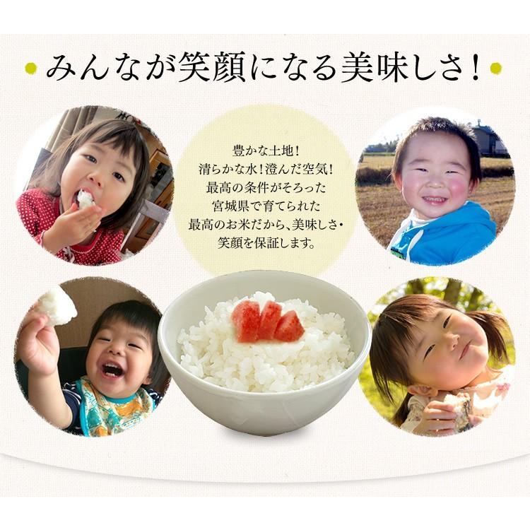 つや姫 玄米 30kg 米 お米 宮城県産 産地直送 送料無料 安い 30 つや姫 玄米 30kg 米 お米 宮城県産 産地直送 送料無料 安い 30