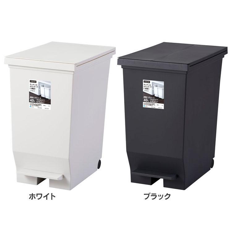 アスベル（ASVEL） ゴミ箱 インテリア ダストボックス エバン両開き