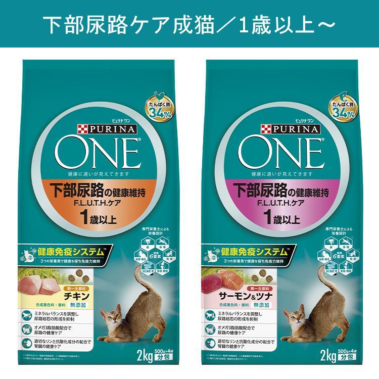 ピュリナワン 猫 キャット キャットフード ドライ 安全 フード one