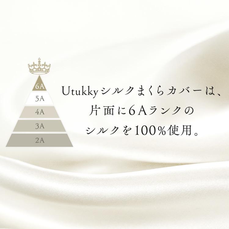 Utukky ユノキ　シルク枕カバー シャンパン　シルク　6Aランク　100% シルク枕カバー 株式会社ユノキ (メール便) : メガストア Yahoo!店