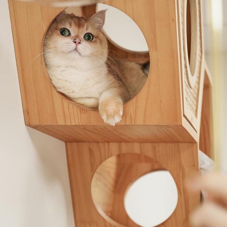 キャットウォーク キャットステップ 猫用品 ペット用品 猫家具 猫